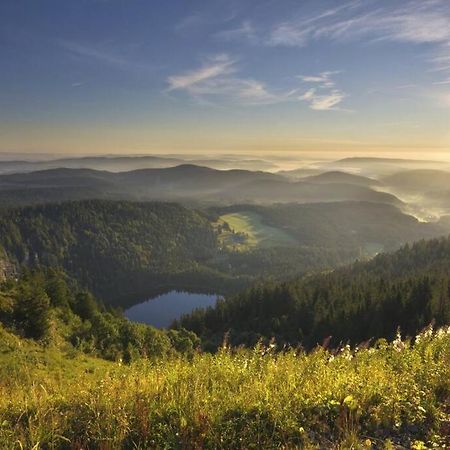 Waldloft Titisee Esterno foto