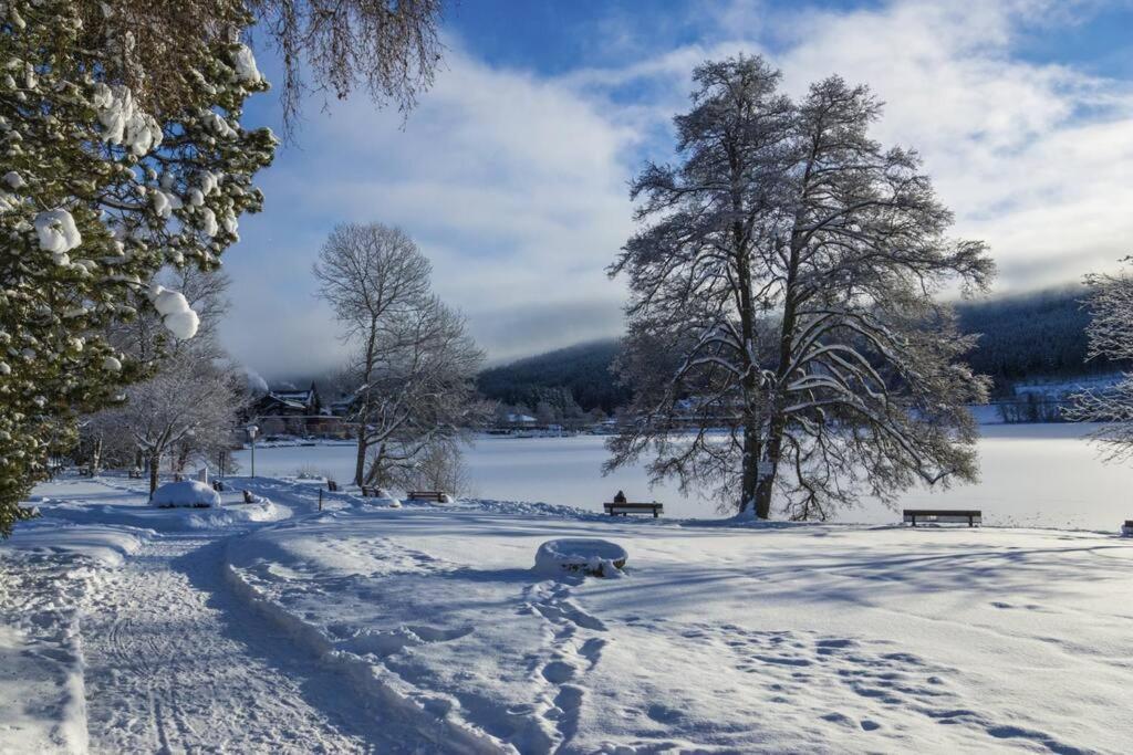 Waldloft Titisee Esterno foto