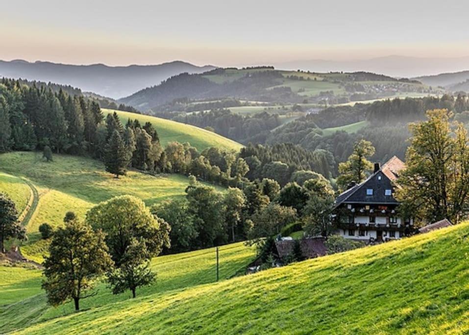 Waldloft Titisee Esterno foto