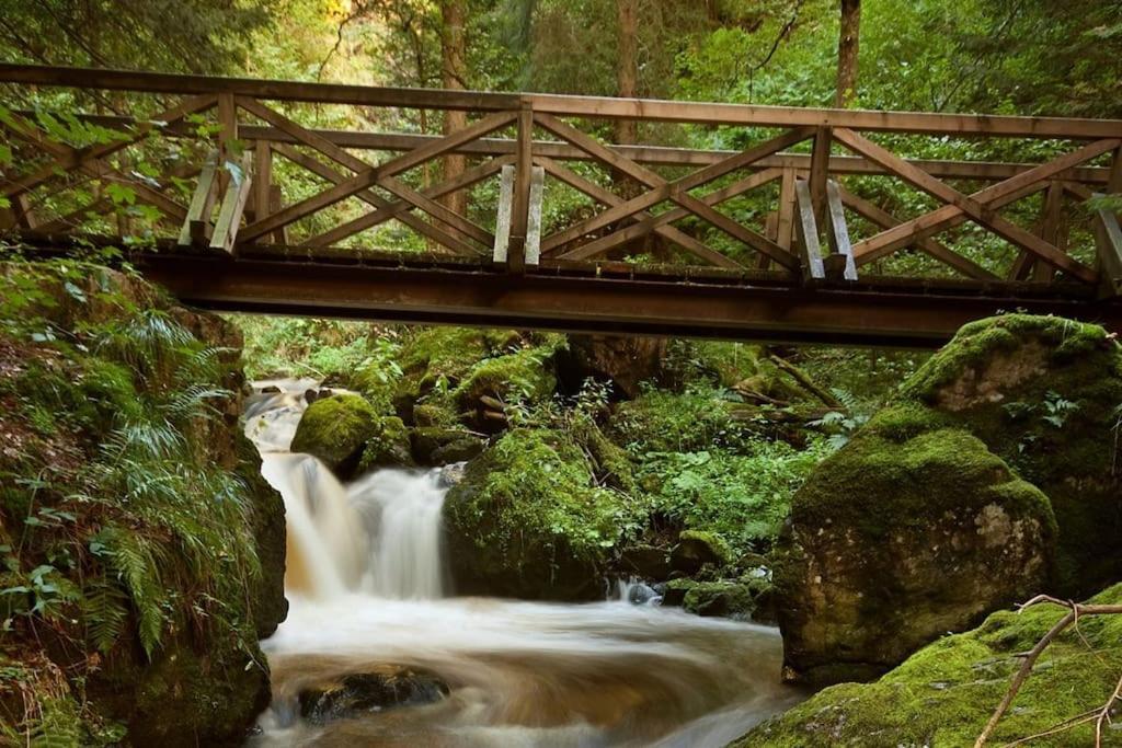 Waldloft Titisee Esterno foto